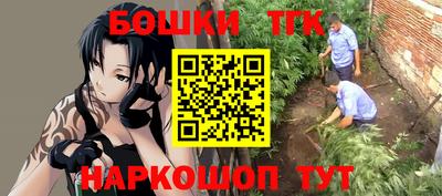 твердый Лесосибирск
