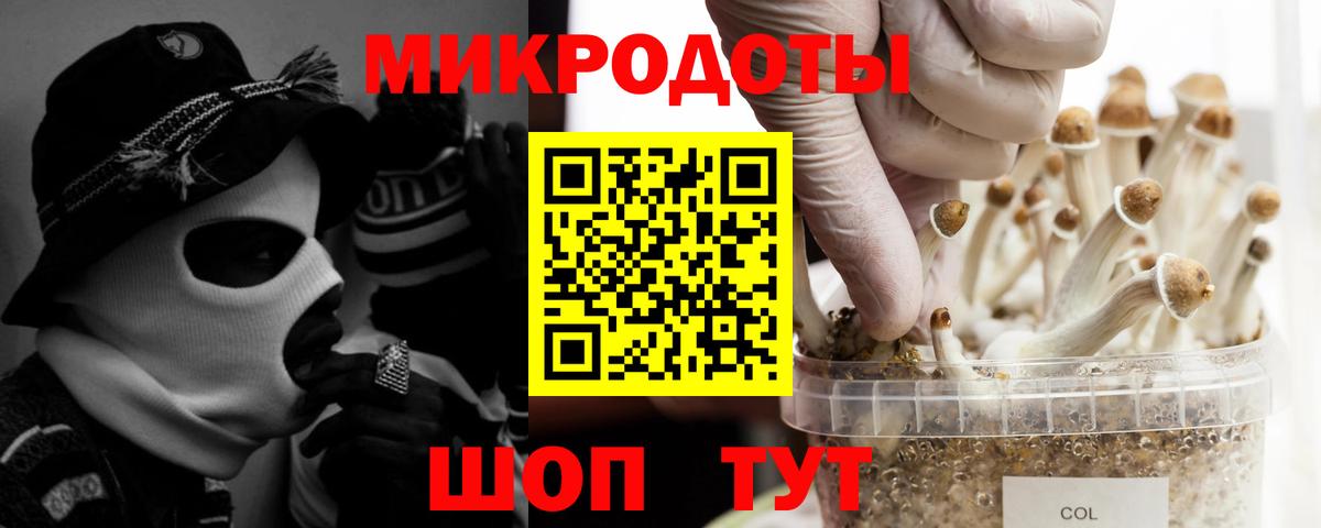 Елец  Псилоцибиновые грибы Magic Shrooms  Вход с VPN  Галлюциногенные грибы Psilocybine cubensis 